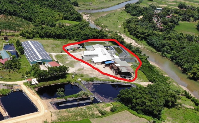 HTX chế biến lâm sản Lang Chánh (vị trí đánh dấu màu đỏ) lấn chiếm đất đai, vi phạm trật tự xây dựng, thực hiện không đúng đề án bảo vệ môi trường. Ảnh: QD