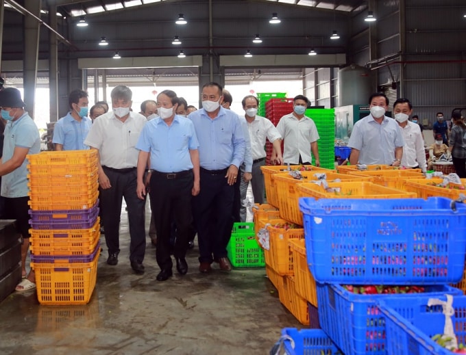 Phó Thủ tướng Lê Văn Thành kiểm tra điểm thu mua, chế biến nông sản của Long An.