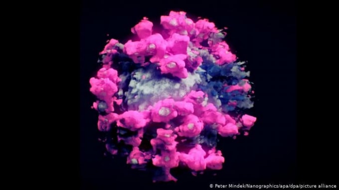 Hình ảnh của virus SARS-CoV-2. Ảnh: DPA