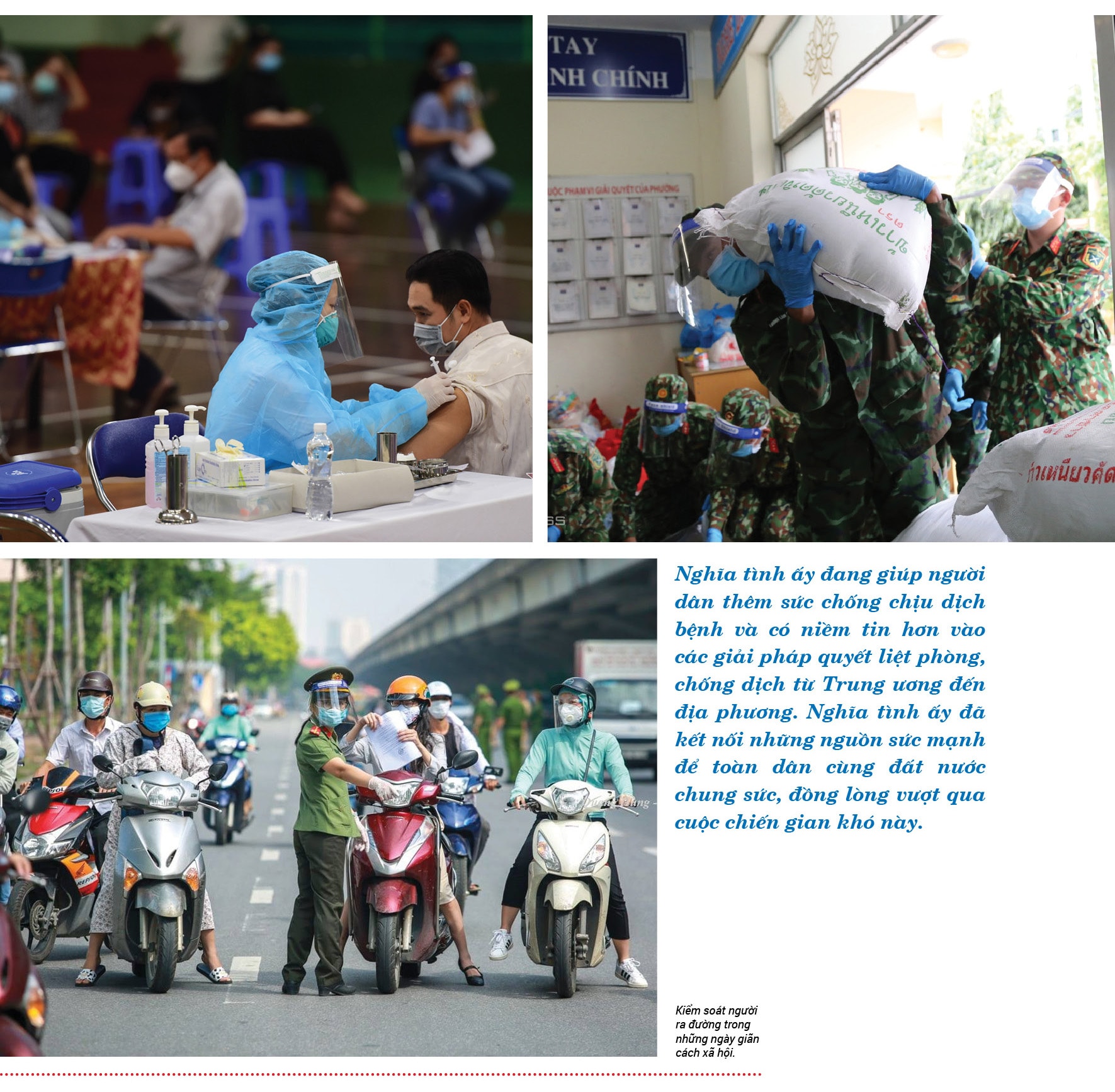roi ta se hoi sinh hinh 6