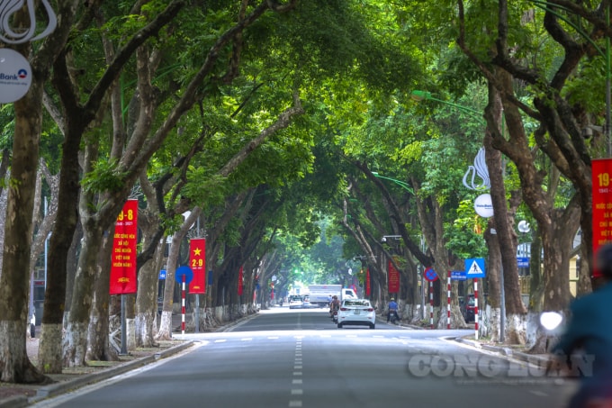 ha noi trong ngay tet doc lap dac biet hinh 4