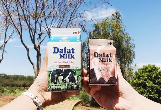 doanh thu tram ty nhung loi nhuan mong manh dalatmilk con bi xu ly vi pham do xa thai khong giay phep hinh 1