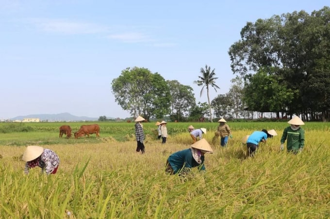 xet nghiem ncov am tinh moi duoc di gat lua hinh 1