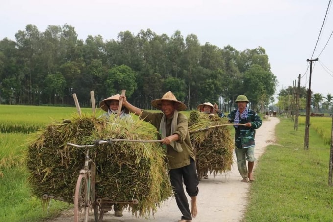 xet nghiem ncov am tinh moi duoc di gat lua hinh 2