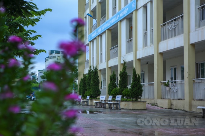 le khai giang dac biet co mot khong hai voi san truong ghe da hang cay vang lang hinh 5