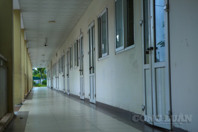 le khai giang dac biet co mot khong hai voi san truong ghe da hang cay vang lang hinh 8