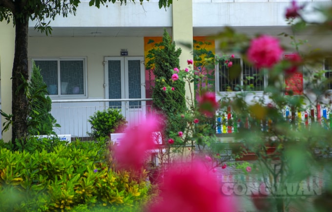 le khai giang dac biet co mot khong hai voi san truong ghe da hang cay vang lang hinh 7