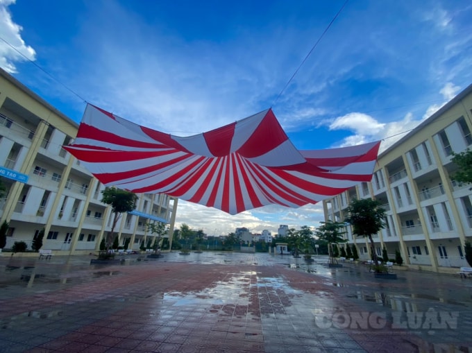 le khai giang dac biet co mot khong hai voi san truong ghe da hang cay vang lang hinh 3