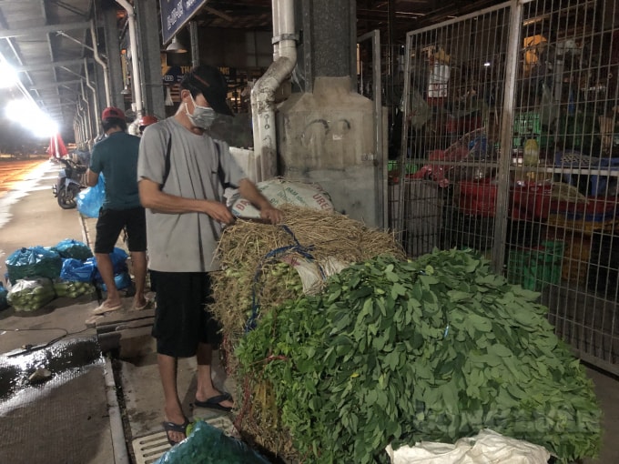 nhung xe hang dau tien cho day ap rau cu ca tuoi da ve cho dau moi binh dien hinh 4
