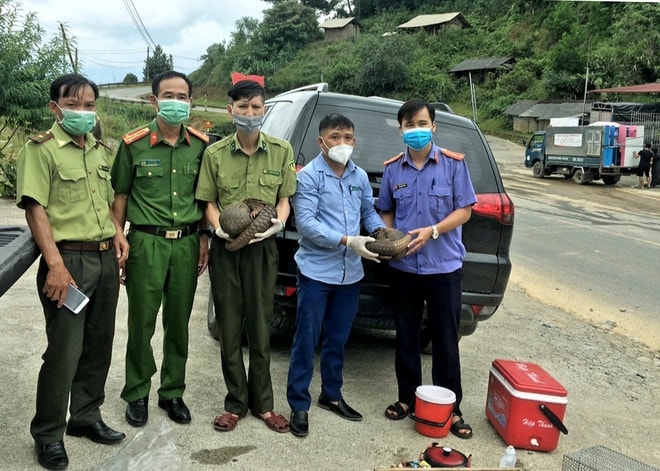 hai ca the te te java duoc cuu thoat trong vu buon ban dong vat hoang da hinh 1
