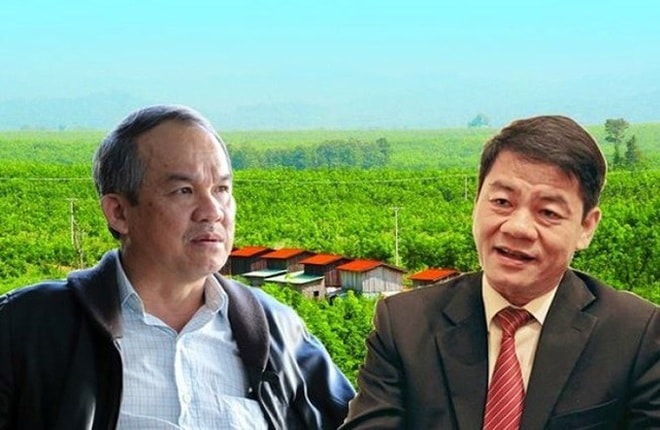 lo luy ke mat can doi tai chinh vi sao hagl agrico khong bi nghi ngo kha nang hoat dong lien tuc hinh 1