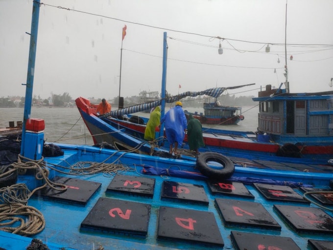 bao con son suy yeu canh bao san sang ung pho voi hoan luu hinh 1