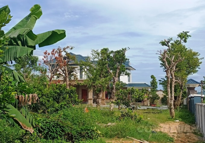 biet thu nup bong nha dieu hanh trang trai tren dat nong nghiep hinh 1