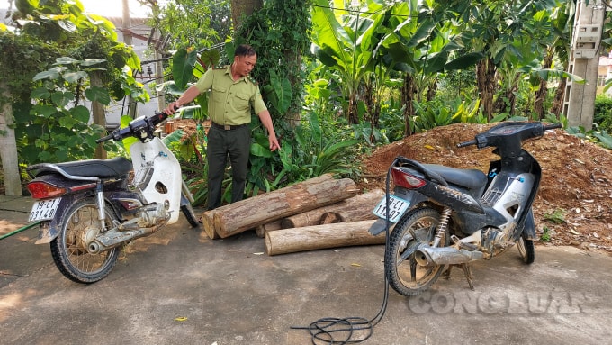 thanh son phu tho that nghiep do covid 19 ba doi tuong di chat pha rung phong ho kiem loi hinh 2