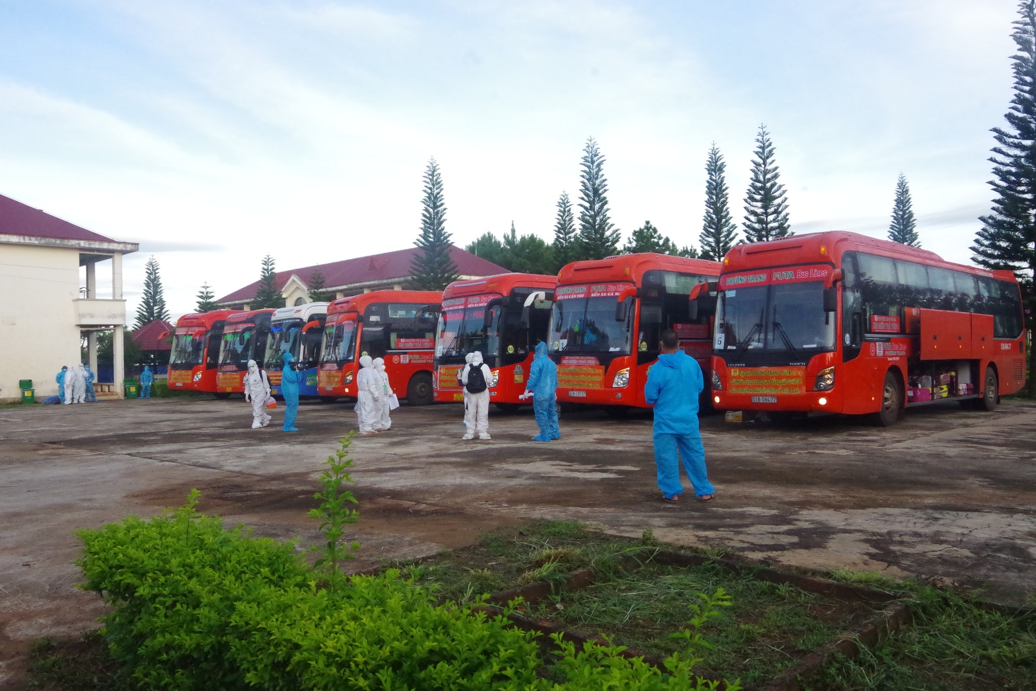 gia lai thai phu sinh con ngay tren duong tu vung dich ve que hinh 1