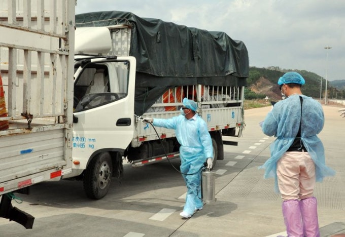 trung quoc tam ngung nhap khau thanh long viet nam qua cua khau cau phao tam dong hung hinh 1