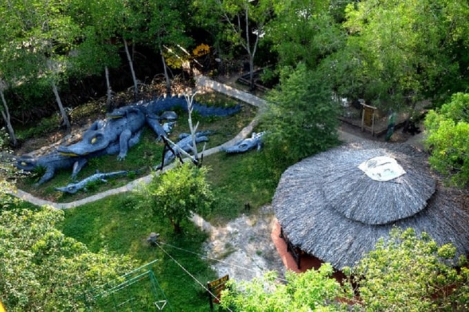 tuyen dau chong dich tham gia tour thi diem du lich dau tien den can gio hinh 2