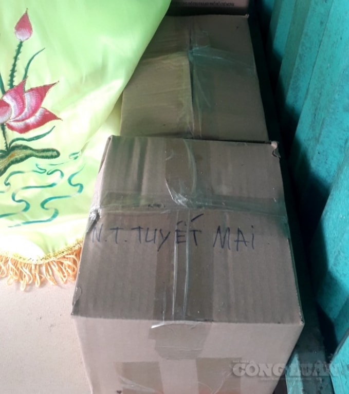 be 14 tuoi mo coi ba me ong ba ngoai vi covid 19 dem thuc giac oa khoc thay trong nha chi con minh con hinh 2