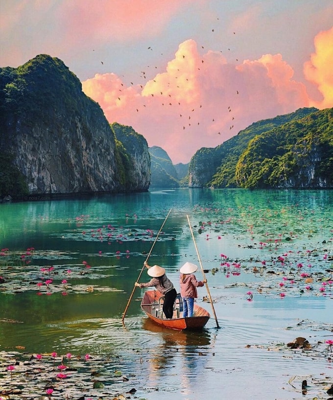 ghe tham ha long tren can giua long thu do hinh 2