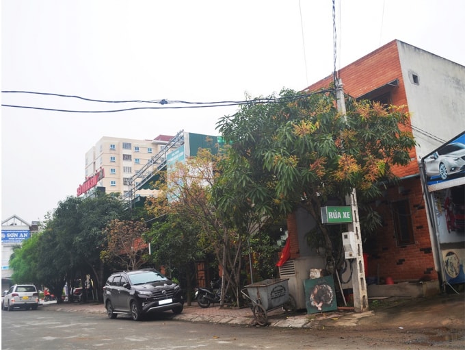 vo chong giam doc cong ty minh khang da thuc hien hanh vi lua dao the nao hinh 2