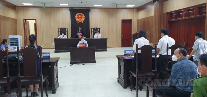 toa an thanh hoa bat ngo dung xet xu vu giao vien kien chu tich huyen vi khong thuoc tham quyen hinh 2