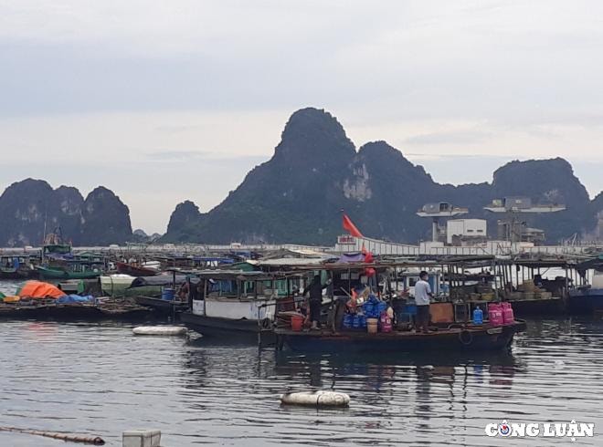 quang ninh cac co so kinh doanh dich vu bat buoc phai lap ma qr code hinh 1
