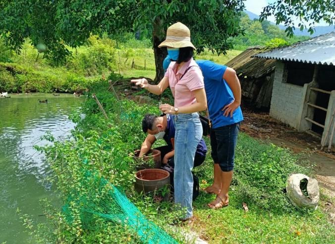 thanh hoa xuat hien 3 truong hop sot xuat huyet dengue hinh 1