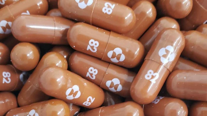 tu pfizer den shionogi cac cong ty dua nhau san xuat thuoc dieu tri covid hinh 1