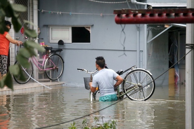 nuoc bien dang cao khien lang chai venice cua hong kong dung truoc nguy co bien mat vinh vien hinh 1