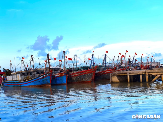 thanh hoa san sang ung pho voi mua lon ngap lut lu lu quet sat lo dat hinh 1