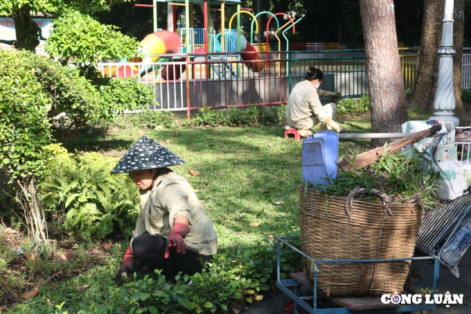 tphcm loi keu cuu cua 1500 dong vat tai thao cam vien lieu co ai nghe hinh 7