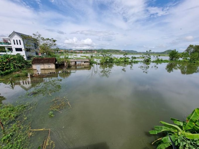 nghe an gan 3000 ho dan o huyen quynh luu van dang bi ngap nuoc hinh 1