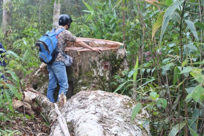 chung ta can soi toi ranh gioi cua dao duc hinh 1