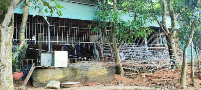 cam khe phu tho den bu chua thoa dang nhieu ho dan keu cuu hinh 1