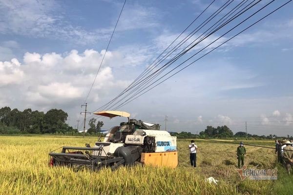 hai duong di gat ngoai ruong lua 2 nong dan bi dien giat tu vong hinh 1