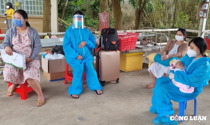 kien giang dua 20 xe len tp hcm don gan 400 nguoi ve que hinh 2