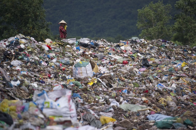 wwf viet nam keu goi nang cao trach nhiem va suc manh cua nguoi tieu dung doi voi viec giam thieu rac nhua hinh 2