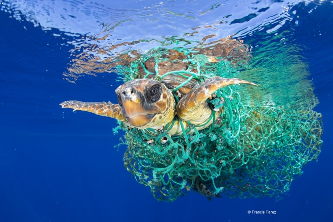 wwf viet nam keu goi nang cao trach nhiem va suc manh cua nguoi tieu dung doi voi viec giam thieu rac nhua hinh 4