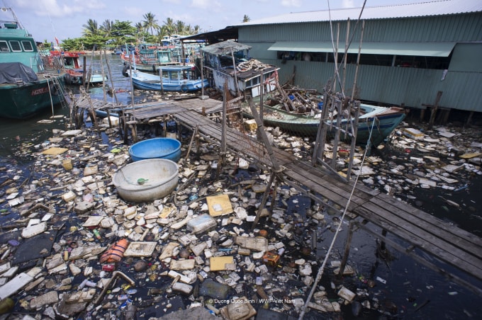 wwf viet nam keu goi nang cao trach nhiem va suc manh cua nguoi tieu dung doi voi viec giam thieu rac nhua hinh 3