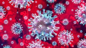 nguoi mac covid 19 co the phat tan virus tu 2 ngay truoc khi co trieu chung hinh 1