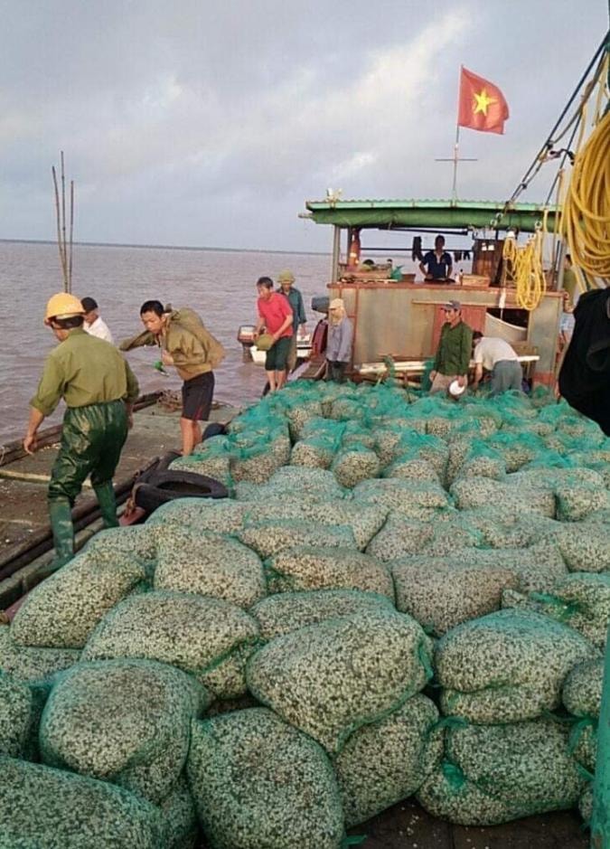 ubnd tp hai phong ra toi hau thu nguoi dan van keu cuu hinh 1