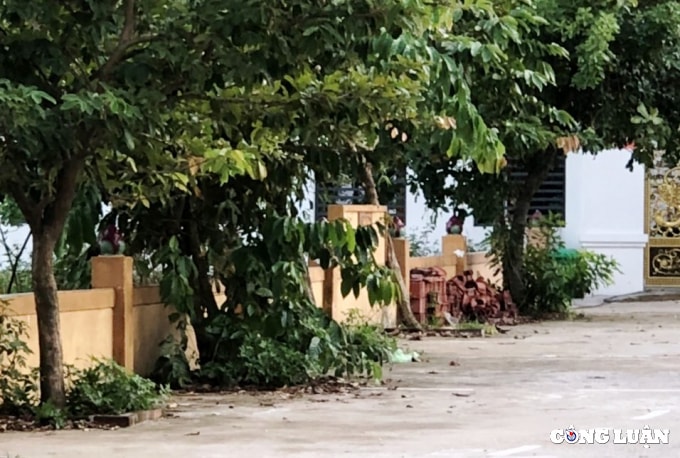 chinh quyen phuong nghi hoa co xu ly dut diem vi pham hinh 1