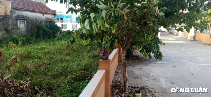 chinh quyen phuong nghi hoa co xu ly dut diem vi pham hinh 2