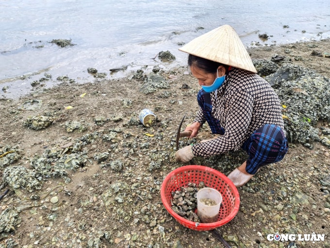 gian nan nghe duc hau noi cua song hinh 1