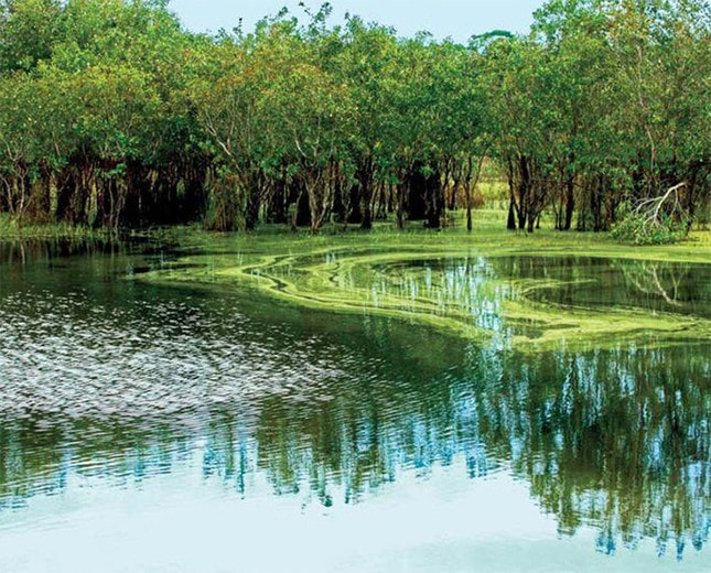 hang loat sai pham trong khoan dat rung tai khu bao ton thien nhien binh chau  phuoc buu hinh 1