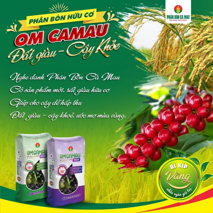 phan bon ca mau ho tro nong dan su dung om ca mau hinh 1
