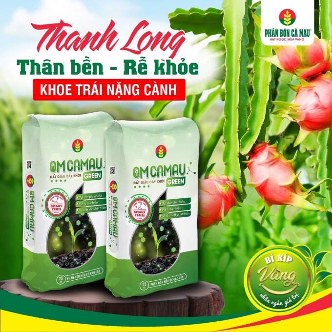 phan bon ca mau ho tro nong dan su dung om ca mau hinh 2