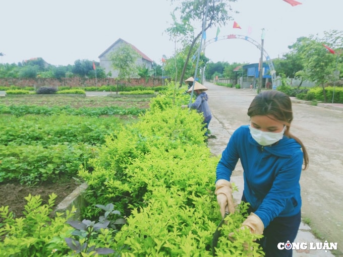 ky 2 nhung bat cap cua can bo van phong dang uy hoat dong khong chuyen trach cap xa hinh 1