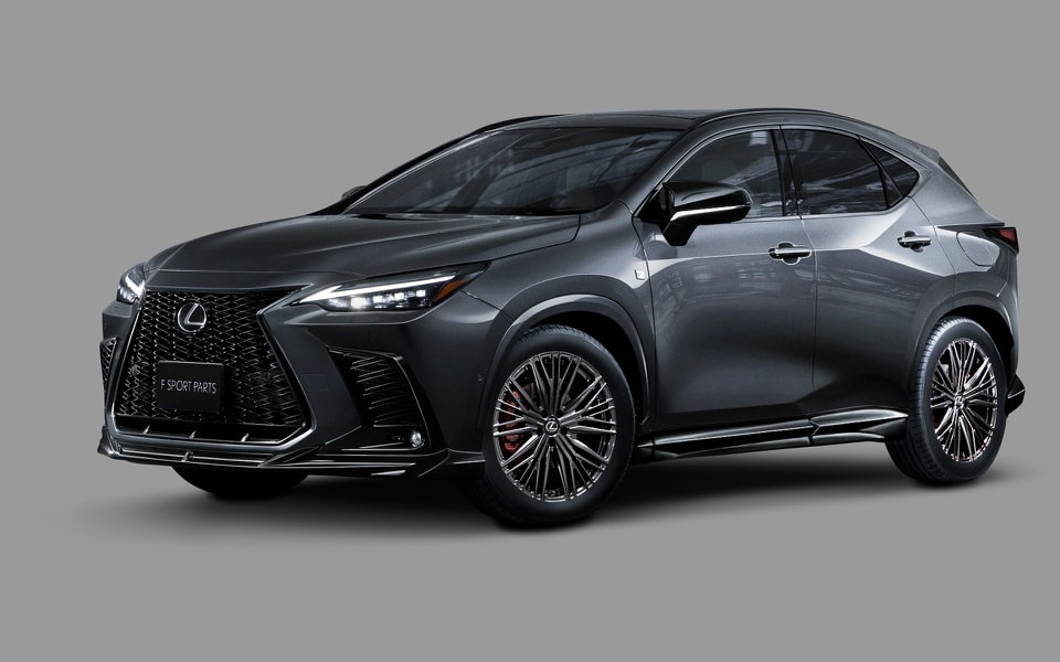 lexus nx 2022 trong ngau hon voi goi trang bi the thao trd hinh 11