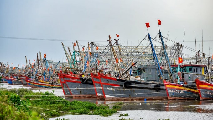 thanh hoa cam bien de ung pho voi bao so 8 hinh 1